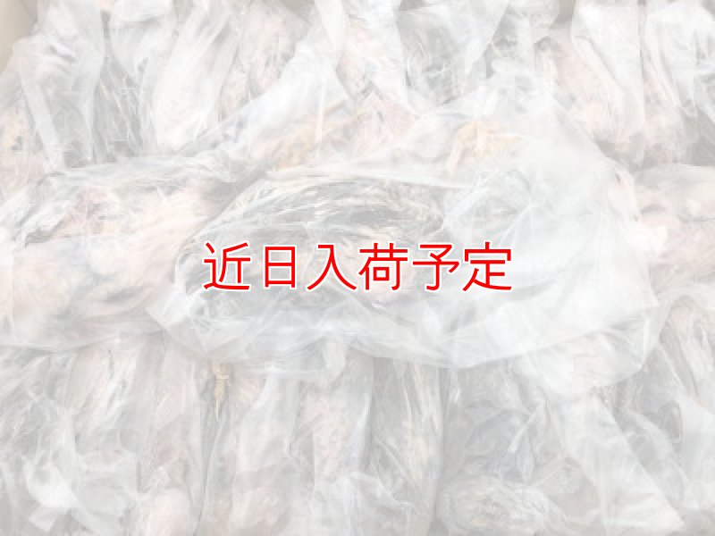 画像1: 冷凍うずら 未処理 Ｂ 袋入り 100羽入 １ケース（100羽） (1)