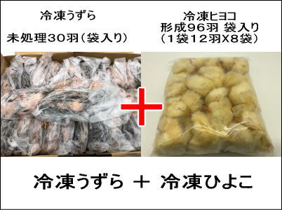 イマジネイション藤枝 新鮮な冷凍餌を静岡県から全国へ通販